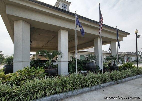 Clarion Inn & Suites Conference Center Covington Exterior photo